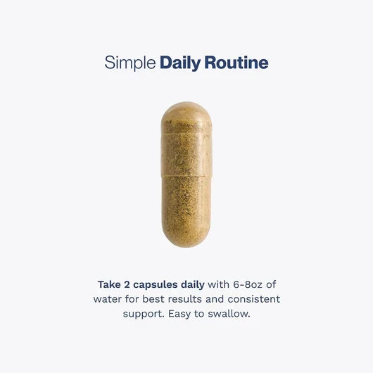 Prostate Support for Men, Urinary Flow & Bladder Care